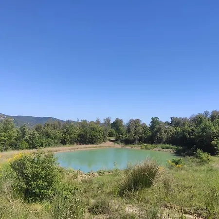 Apartmán Rustico In Un Parco Di Lecci Massa Marittima