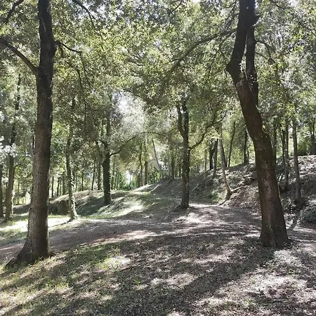 Rustico In Un Parco Di Lecci Massa Marittima