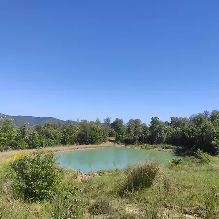 Rustico In Un Parco Di Lecci 马萨马里蒂马