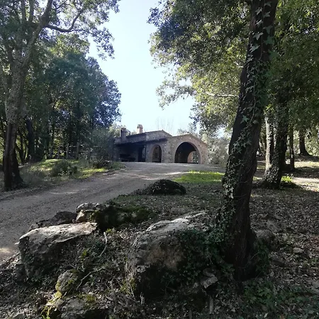 Διαμέρισμα Rustico In Un Parco Di Lecci *