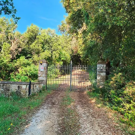 Rustico In Un Parco Di Lecci Διαμέρισμα *